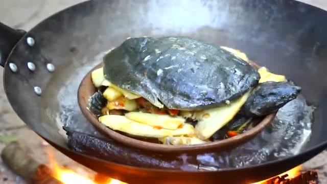 大叔野外烹饪柴火焖野生甲鱼,吃的真过瘾啊