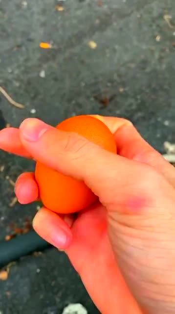 你们能把一个鸡蛋捏碎吗