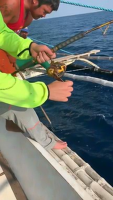 海钓红宝石,拿起鱼竿冲向大海