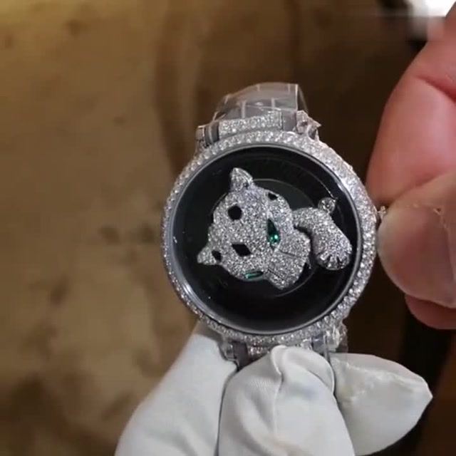 这就是价值18万欧元的卡地亚钻豹,走过路过不要错过哦
