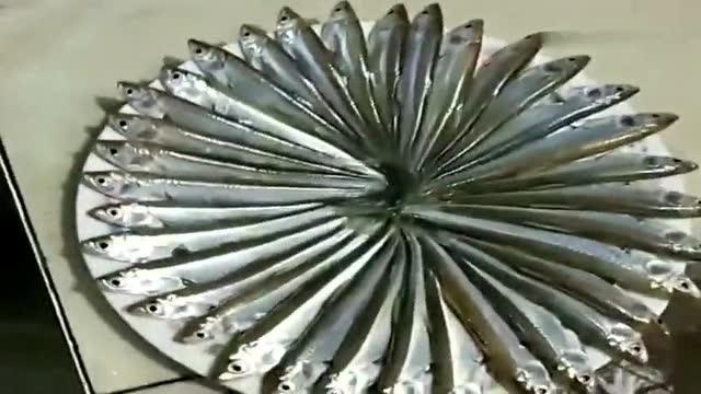 漂亮的小鱼先摆盘后做菜,这样会更好吃吗,网友:这样吃会变得更贵!