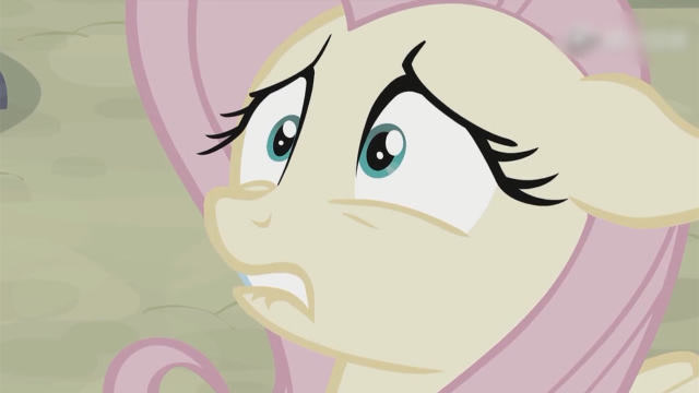 小马宝莉:柔柔放弃了可爱标志,但是它看起来不快乐