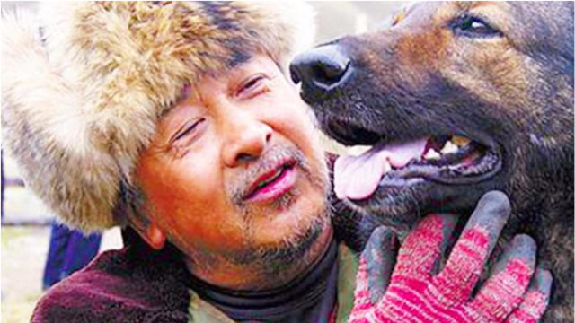 一部真实事件改编电影《血狼犬》,忠犬如何力战群狼!