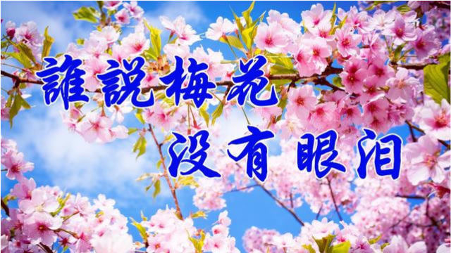 醉心!陈瑞最美歌曲《谁说梅花没有泪》好听极了,送给朋友们!