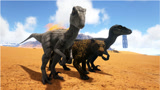 方舟生存进化：侏罗纪探险08非洲花豹和与鹅有关的小恐龙