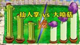 植物大战僵尸：仙人掌VS大喷菇，戴夫：长得高就是厉害