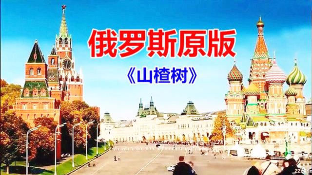 俄罗斯语原声演唱,经典民歌《山楂树》,配俄文字幕
