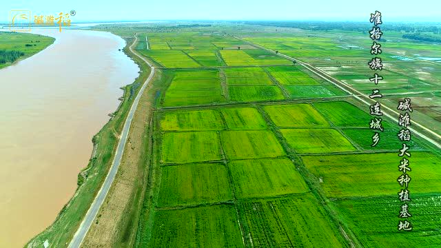 黄河水灌溉,万亩良田.