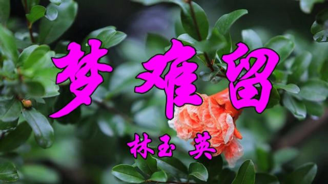 怀旧老歌,林玉英一首《梦难留》伤感极了