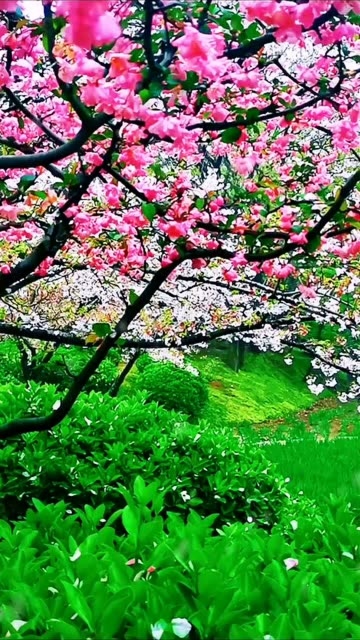 360_640竖版 竖屏