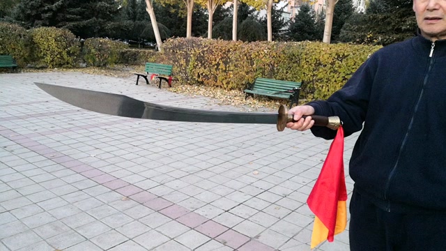 齐齐哈尔市解放门医院张立群形意连环刀