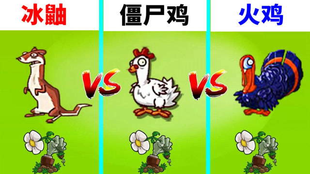 pvz2:实测,100级的冰鼬,僵尸鸡和火鸡,哪个更强一些