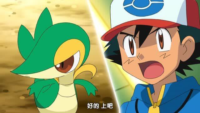 小智的藤藤蛇有多强?一招迷住强敌炎武王