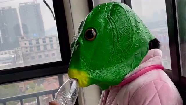 "绿头怪"艰难的喝水方式,不小心脑袋无奈碰到窗台,差点疼哭了!