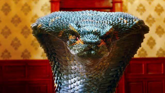 小蛇变成蟒蛇找人类复仇画面太惊悚胆小勿入