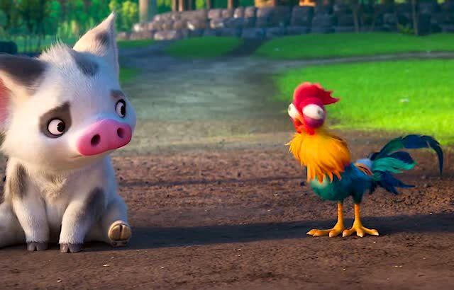 海洋奇缘:憨憨鸡担任整部电影的笑点,连猪都看不下去了