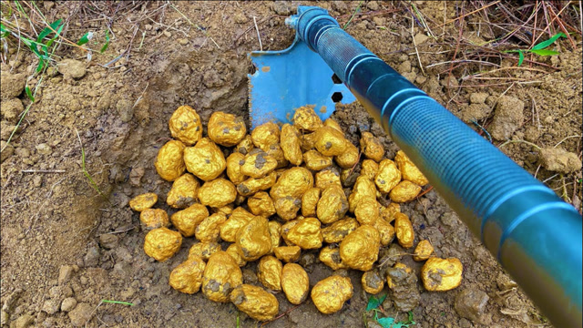 小伙野外寻宝,意外挖出黄金宝藏,这下赚大了!