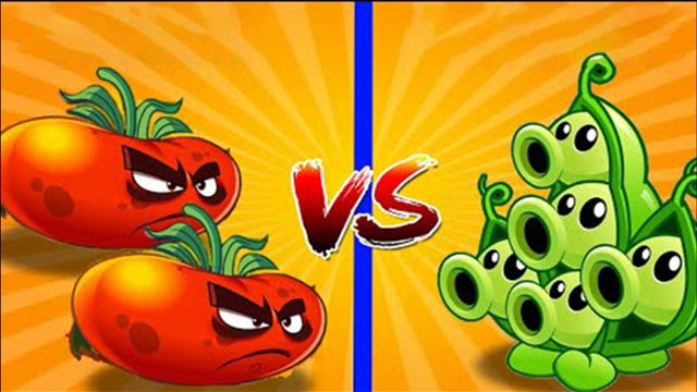 植物大战僵尸:终极番茄这个爆发力也太强了吧,直接秒杀僵尸呀