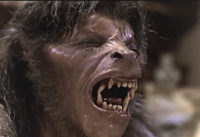 男子身体发生变异成了狼人