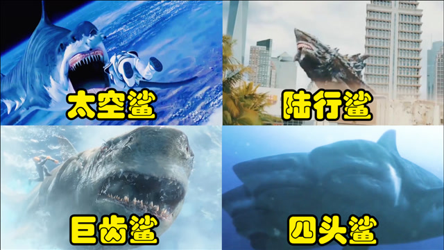 鲨鱼影视磁力搜索没有=鲨鱼影视磁力搜索没有了怎么办