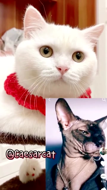 泡芙妹妹真是慧眼如炬,挑中了一个小帅哥!