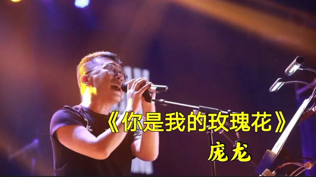 庞龙经典歌曲分享《你是我的玫瑰花》太好听了