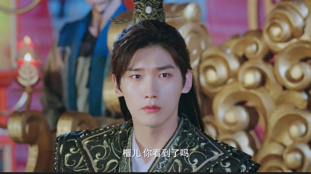 双世宠妃3:皇上为墨连城准备了烟火表演,墨连城乘机逃跑,皇上大怒