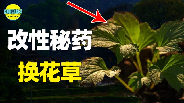生男生女自己定?侗族秘方"换花草",改变性别背后细思极恐!