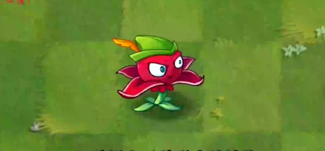 植物大战僵尸:可攻可守的红针花,变化形态后,有什么区别呢?