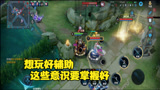 王者荣耀 想要玩好辅助 这些细节和意识都需要掌握好