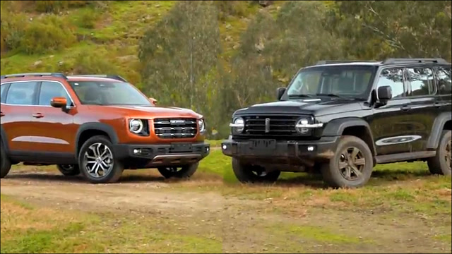 2021款哈弗大狗和wey坦克300的实车对比,看后选哪款自己拿主意