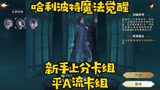 哈利波特魔法觉醒新手上分卡组