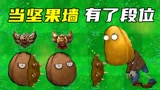 植物大战僵尸：当坚果墙有了段位，白金段位会发射地刺？