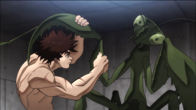 动漫:刃牙大战昆虫界最强武术家,100斤螳螂,根本没有弱点!