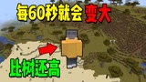 我的世界：每60秒就会变大一次！村庄的房子都太小了！