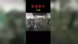 就是玩 鲨鲨鲨