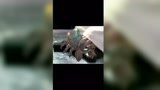 #哈利波特魔法觉醒 #哈利波特手游 鄙人，海格螃蟹烧烤流！