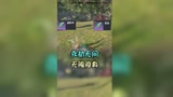 永劫无间：无限隐身