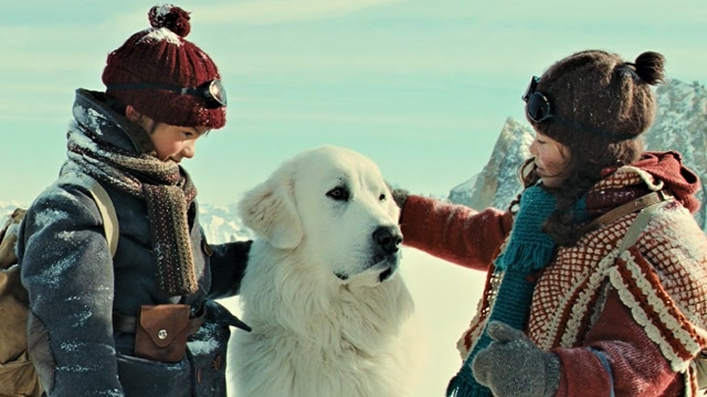 本以为是"恶犬",其实是善良的"守护者"《灵犬雪莉》-2