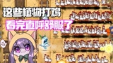 植物大战僵尸：这些植物打鸡！绝对是最爽的！