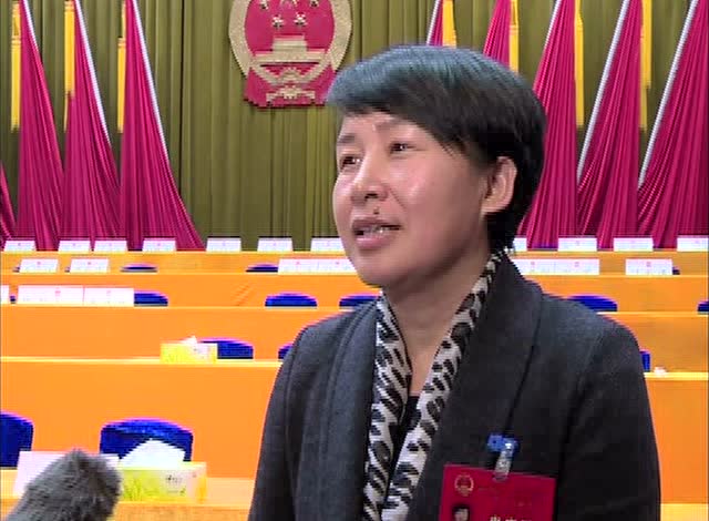 采访罗田县县长郝爱芳