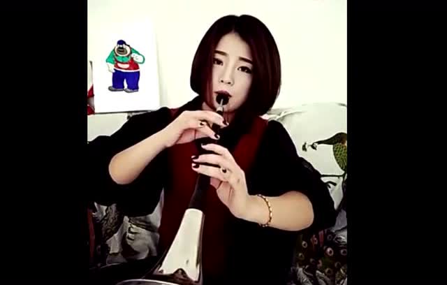 p蓝光画质 三倍流畅播放 4k超清体验  00:55   美女用唢呐演奏上海滩