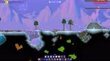 泰拉瑞亚 terraria 汉化版MOD 53 真菌宝箱怪！