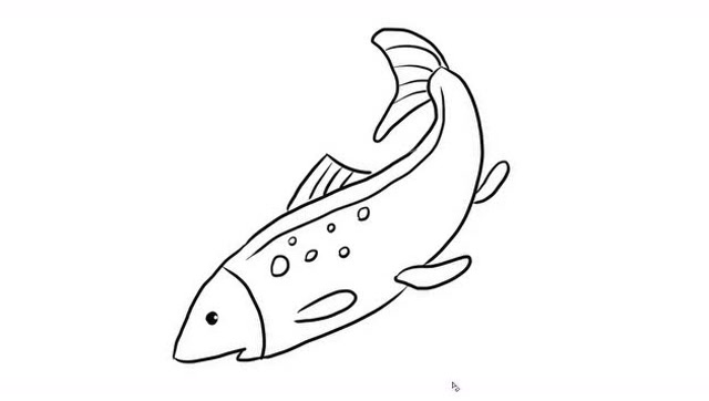 马鲛鱼简笔画图片