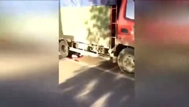 货车碾死小羊，羊妈妈心碎拦车