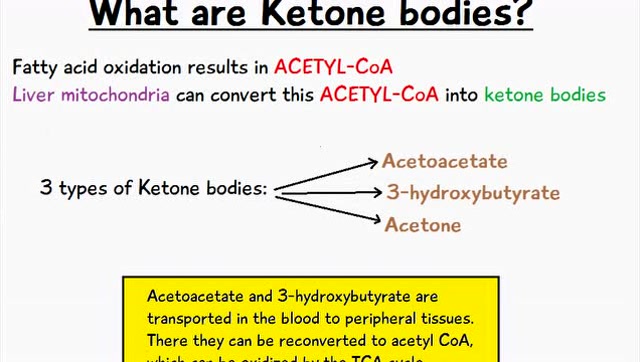 有机化学命名法(111)ketone bodies
