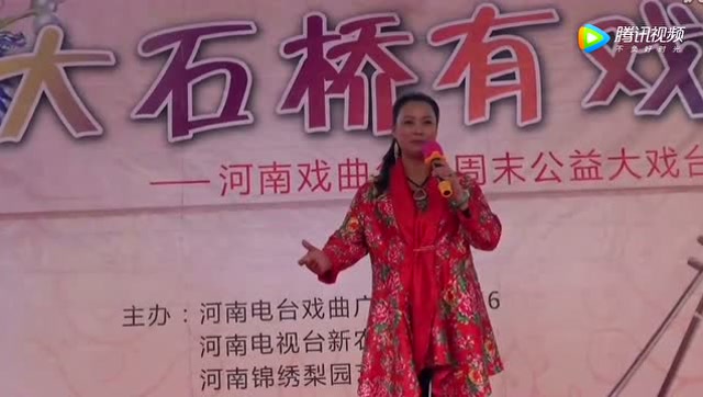 王燕演唱豫剧红楼梦想当初妹妹你初到我家来唱得真不赖