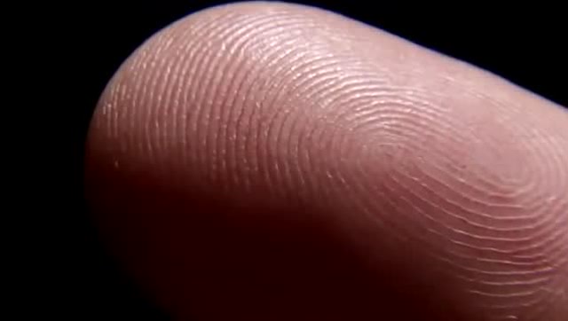 你手指上有几个簸箕,几个斗?据说能测命运,来试试