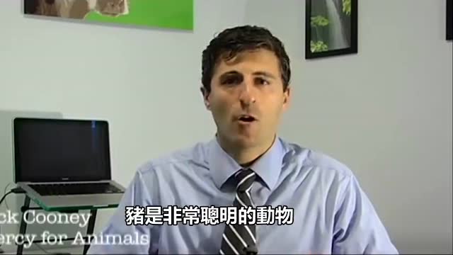 好可怕！无人机拍到的畜牧业污染