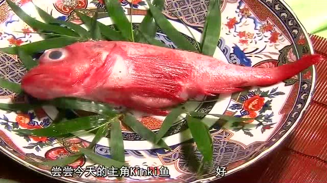 这个号称日本最贵的鱼kinki鱼是怎样的师傅刀工细腻